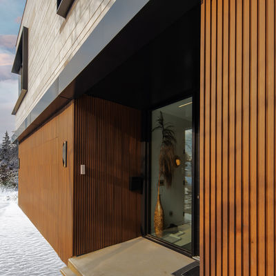 Сопротивление ситовины панели стены 195mmx28mm современного гриля внутреннее WPC