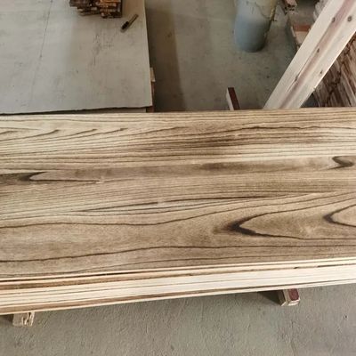 Китай Производство Прочная влагостойкость углеродистая древесина Паулуния